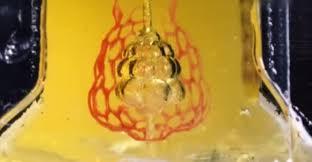 Bioingenieros logran imprimir órganos humanos de reemplazo en 3D